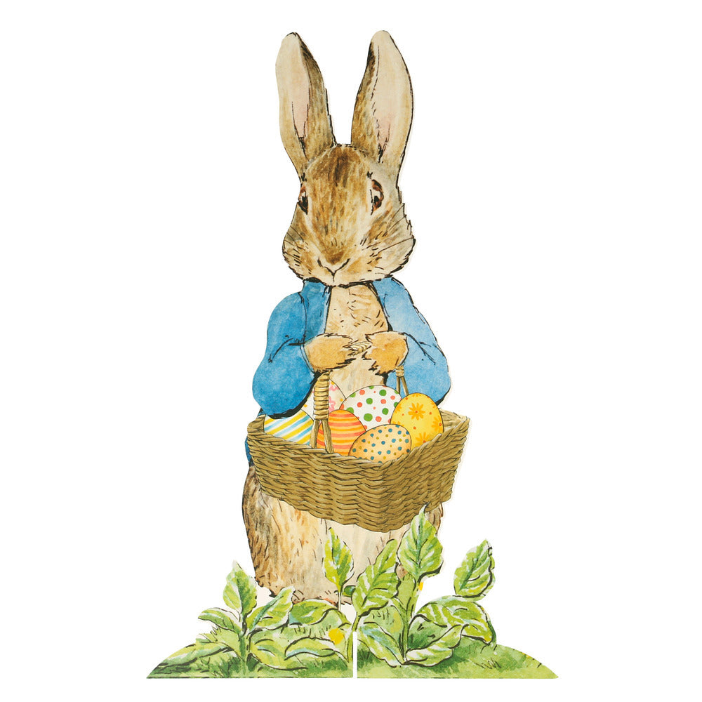 Kit de busqueda de huevitos Peter Rabbit
