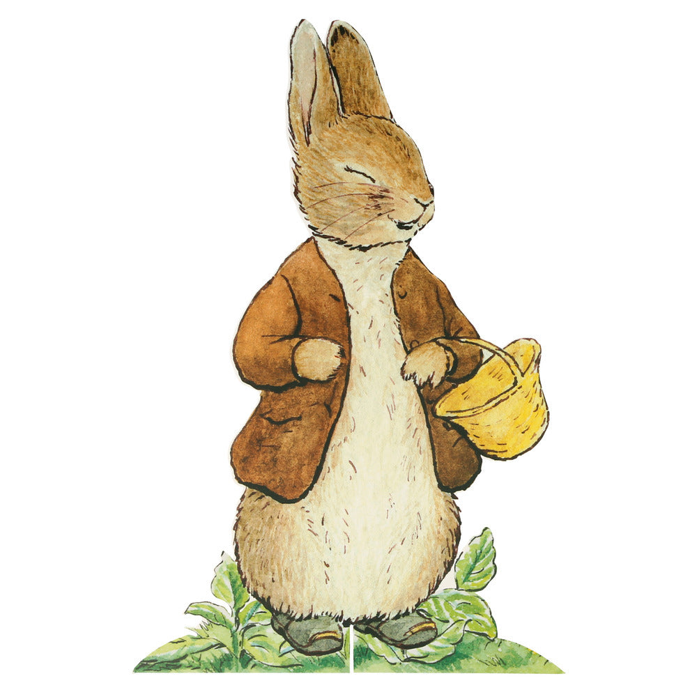 Kit de busqueda de huevitos Peter Rabbit