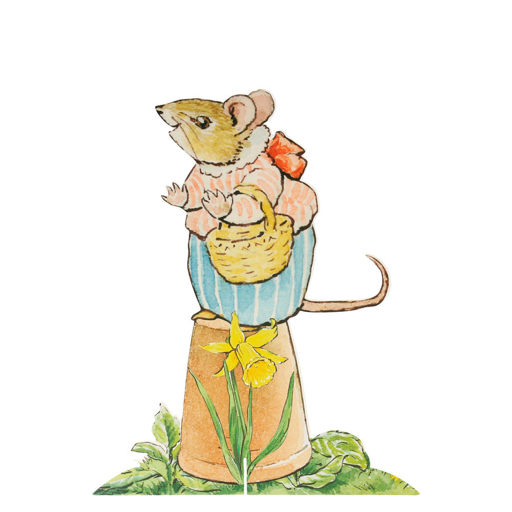 Kit de busqueda de huevitos Peter Rabbit