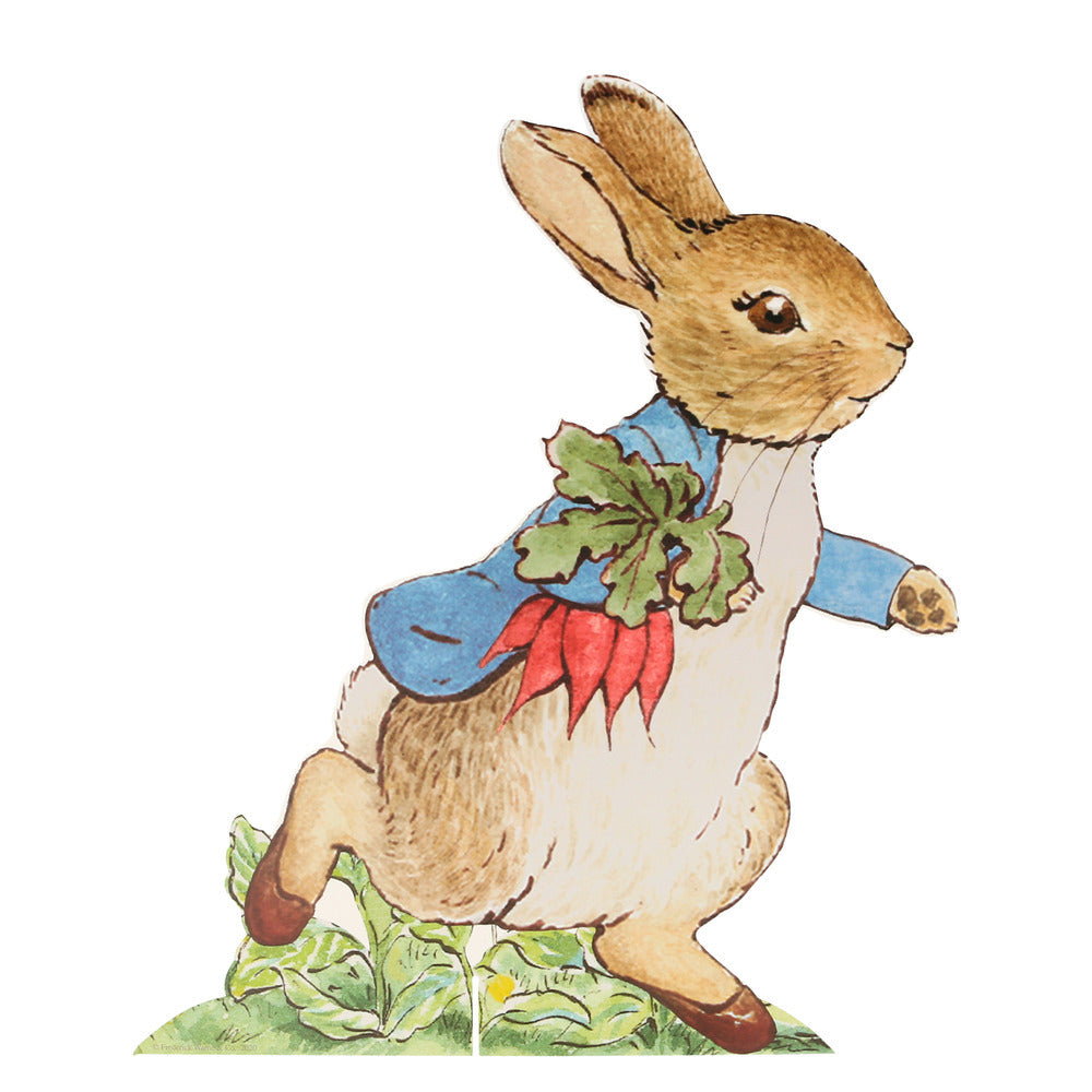 Kit de busqueda de huevitos Peter Rabbit