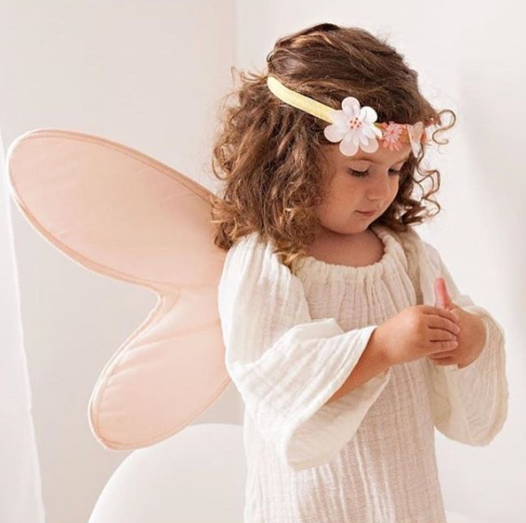 Disfraz - alas de hada